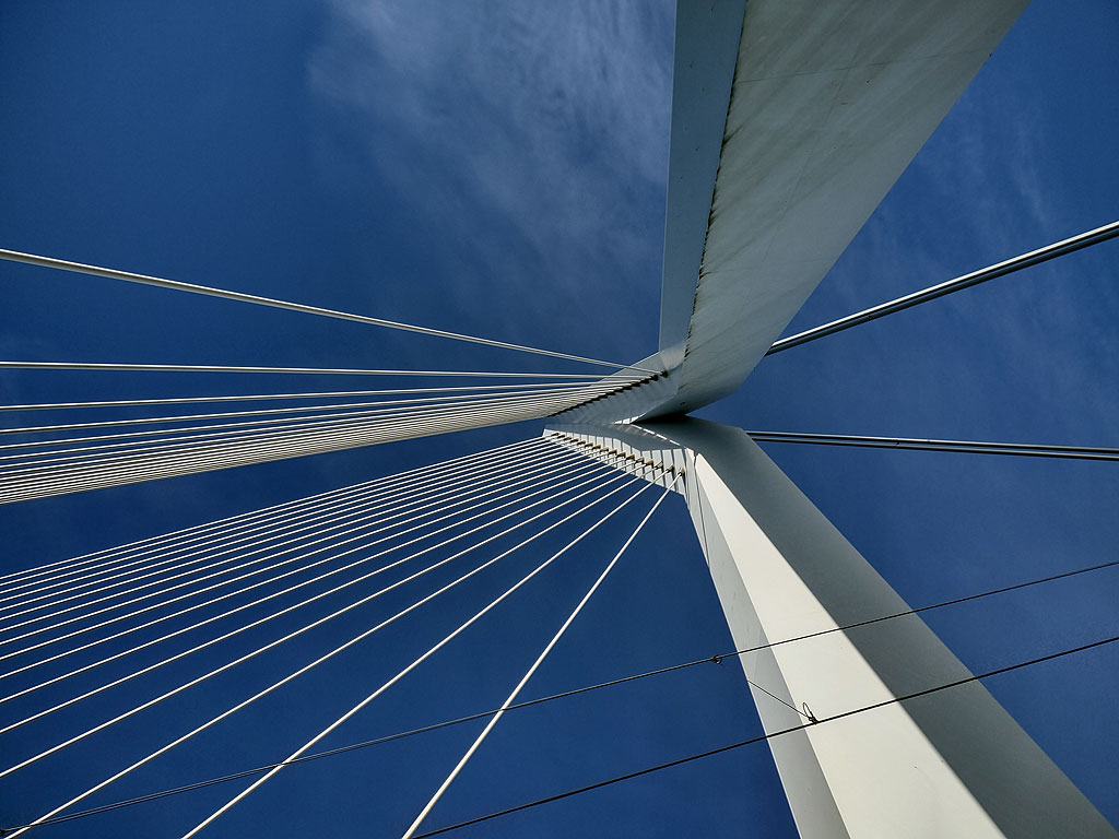 Rotterdam